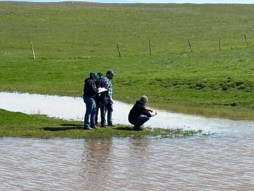 Students standing next to ravine taking notes