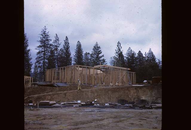 Cedar Building construction of studs