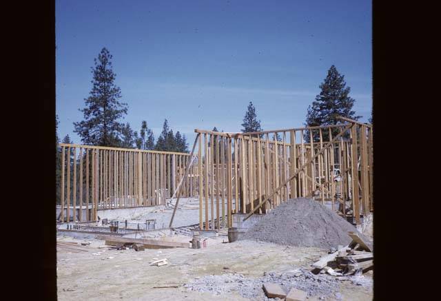 Cedar Building construction studs