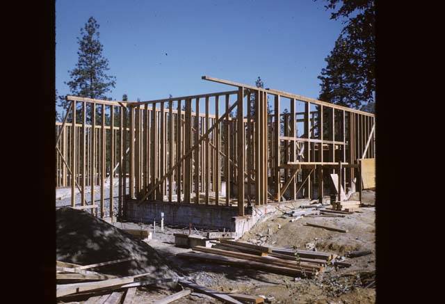 Cedar Building construction studs