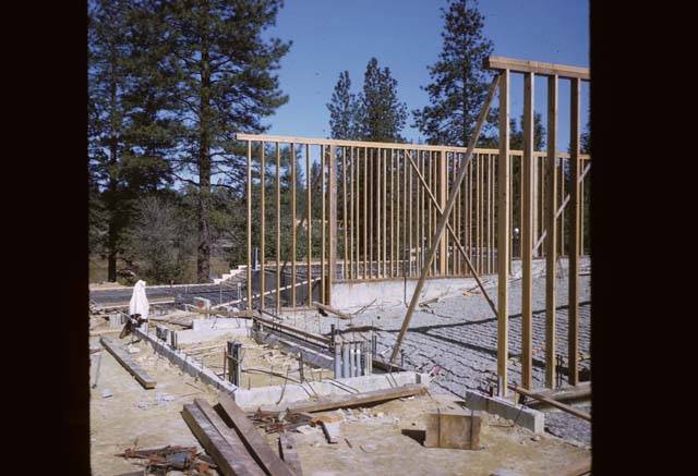 Cedar Building construction studs