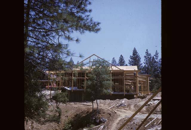 front of Cedar Building construction with trees in front of building