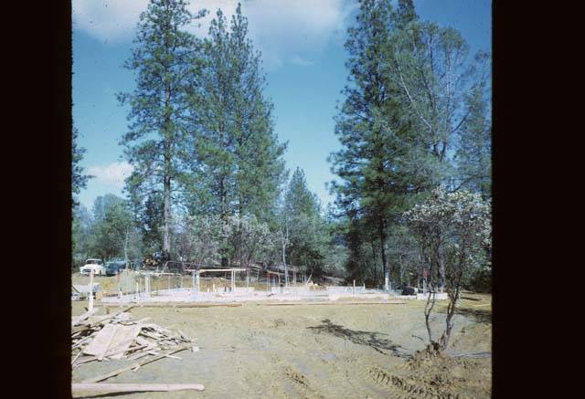 slab of Cedar Building