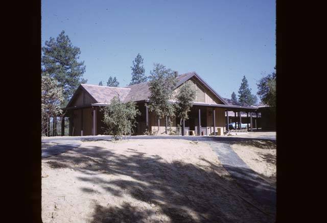 looking at cedar building from pathway