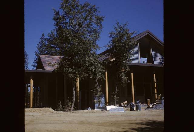trees infront of Cedar Building