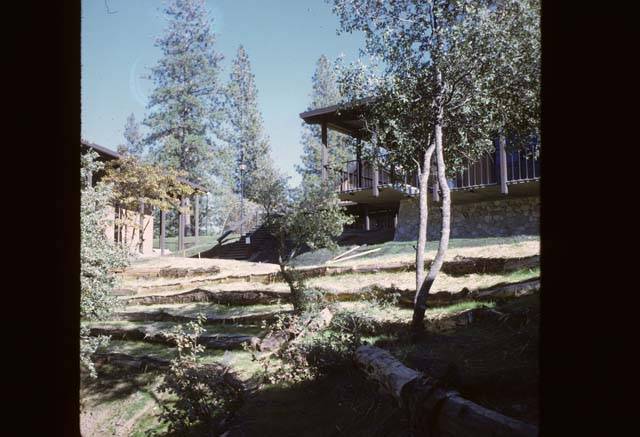 looking up at Cedar Building 