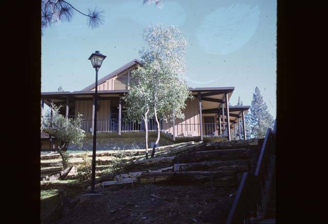 looking up at Cedar Building from stairs