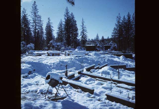 snow on foundation of Cedar Building