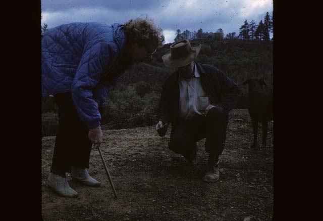 People looking at ground