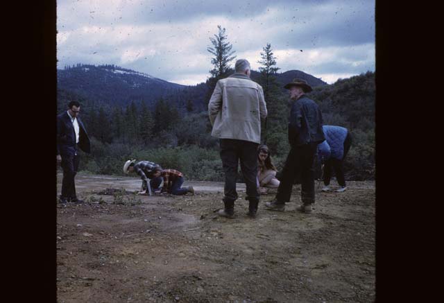 people looking at ground