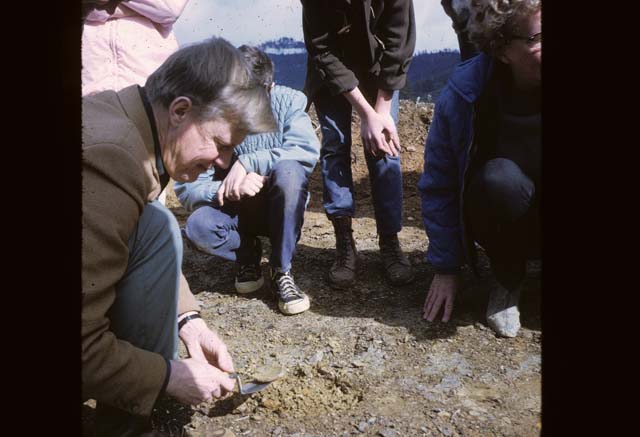 people looking at ground