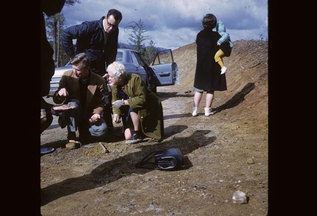 People looking at ground
