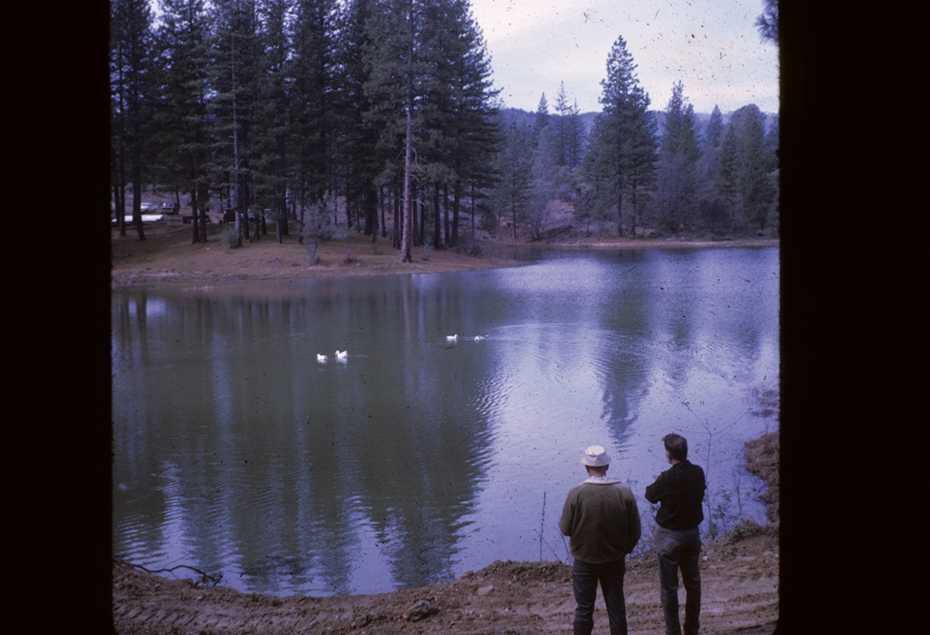 filled lake with people looking out