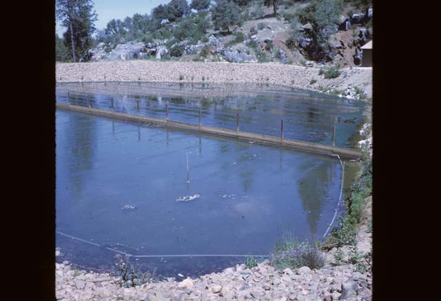 filled pond with divider