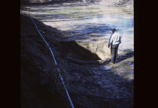 person in empty pond