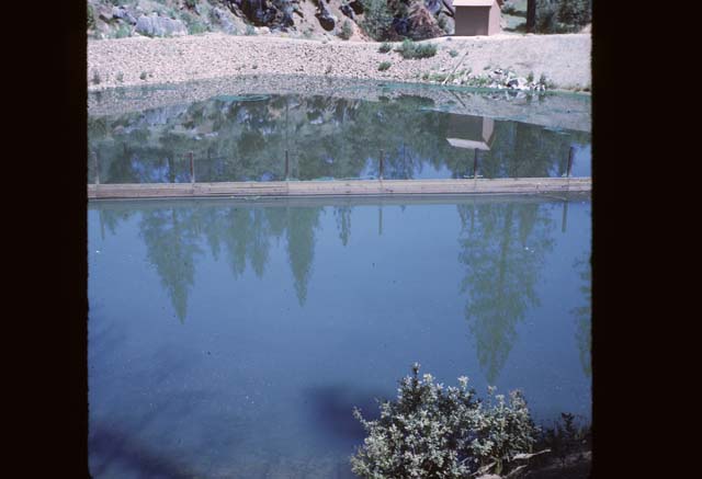 pond