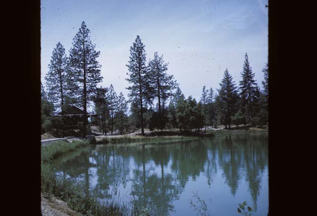 willow building across pond