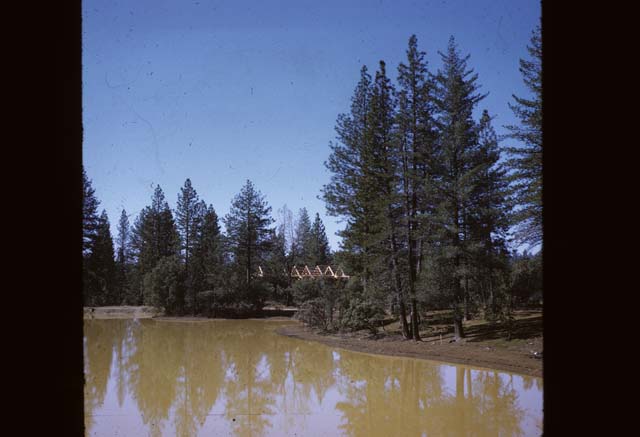 construction of willow from across the pond