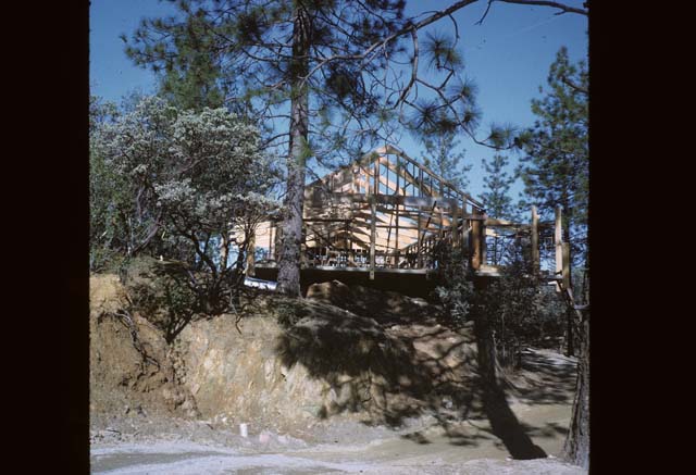 looking up at willow construction
