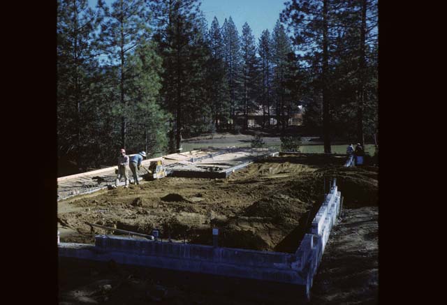 foundation of willow