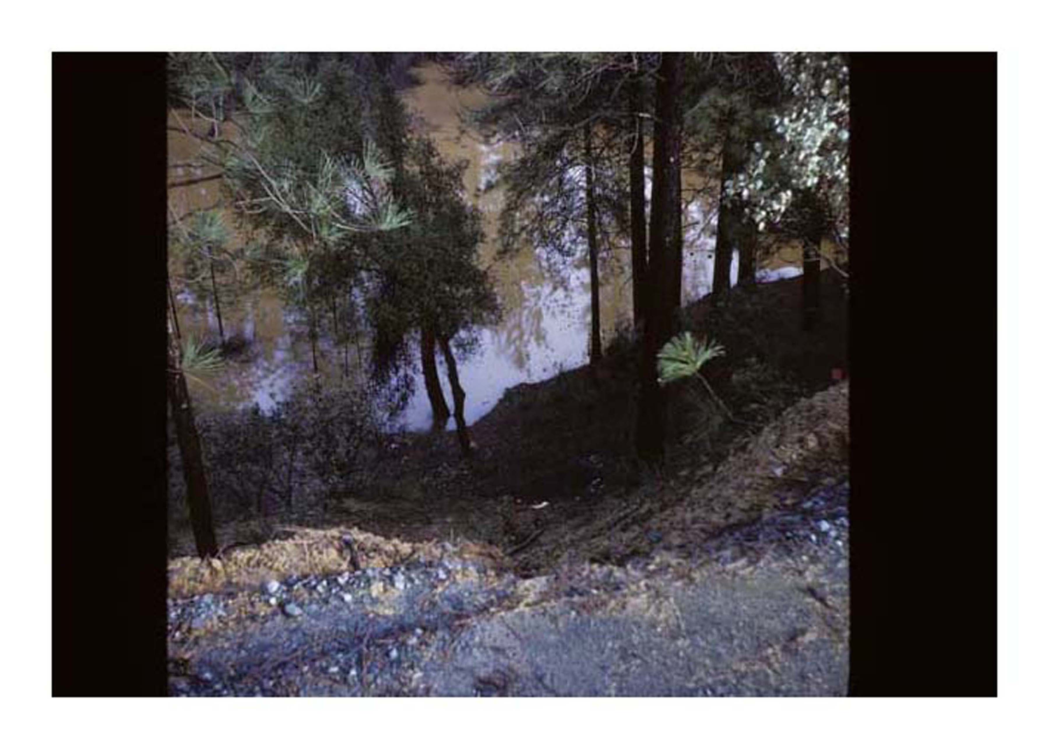 looking down at pond