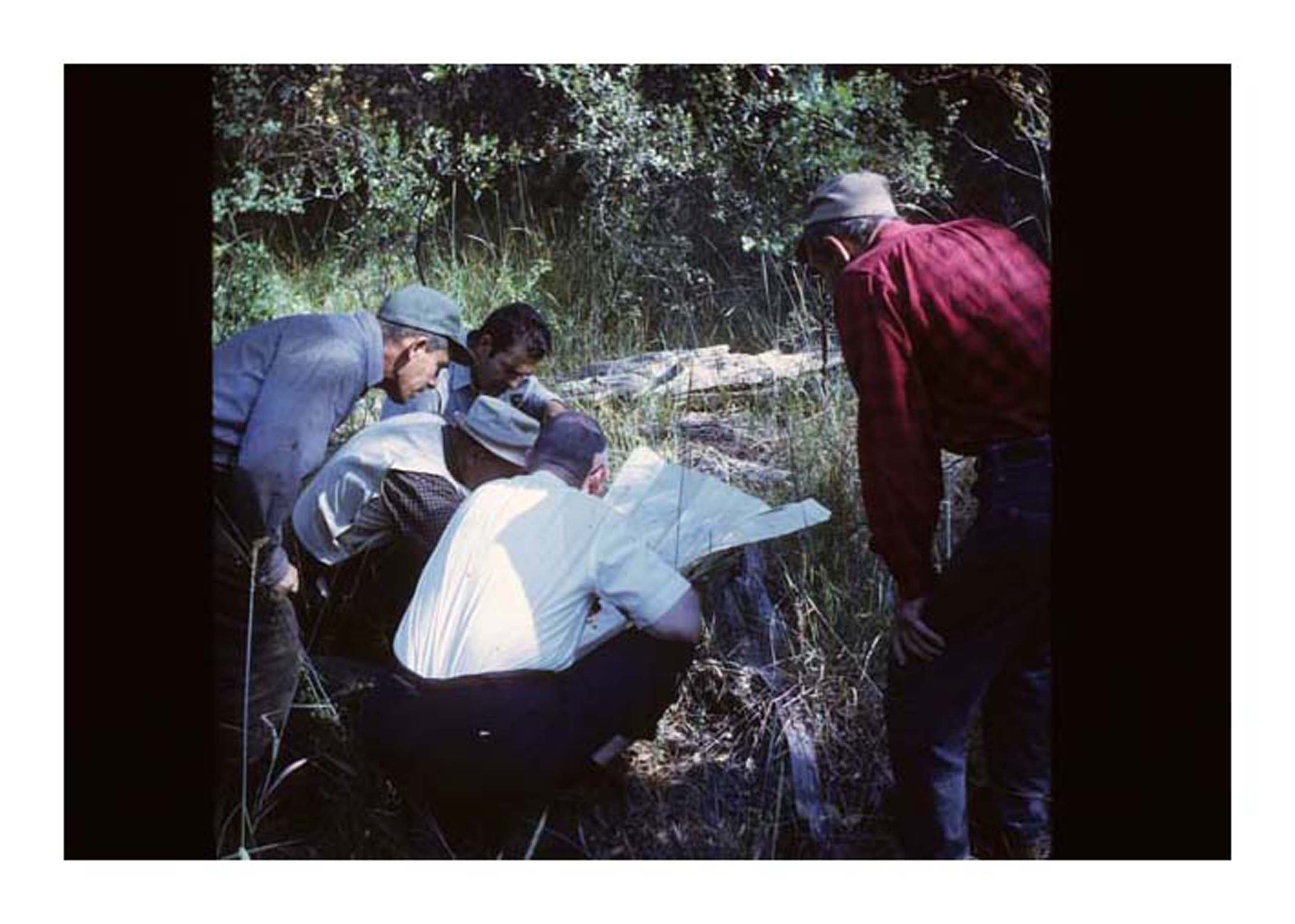 people looking at construction plans