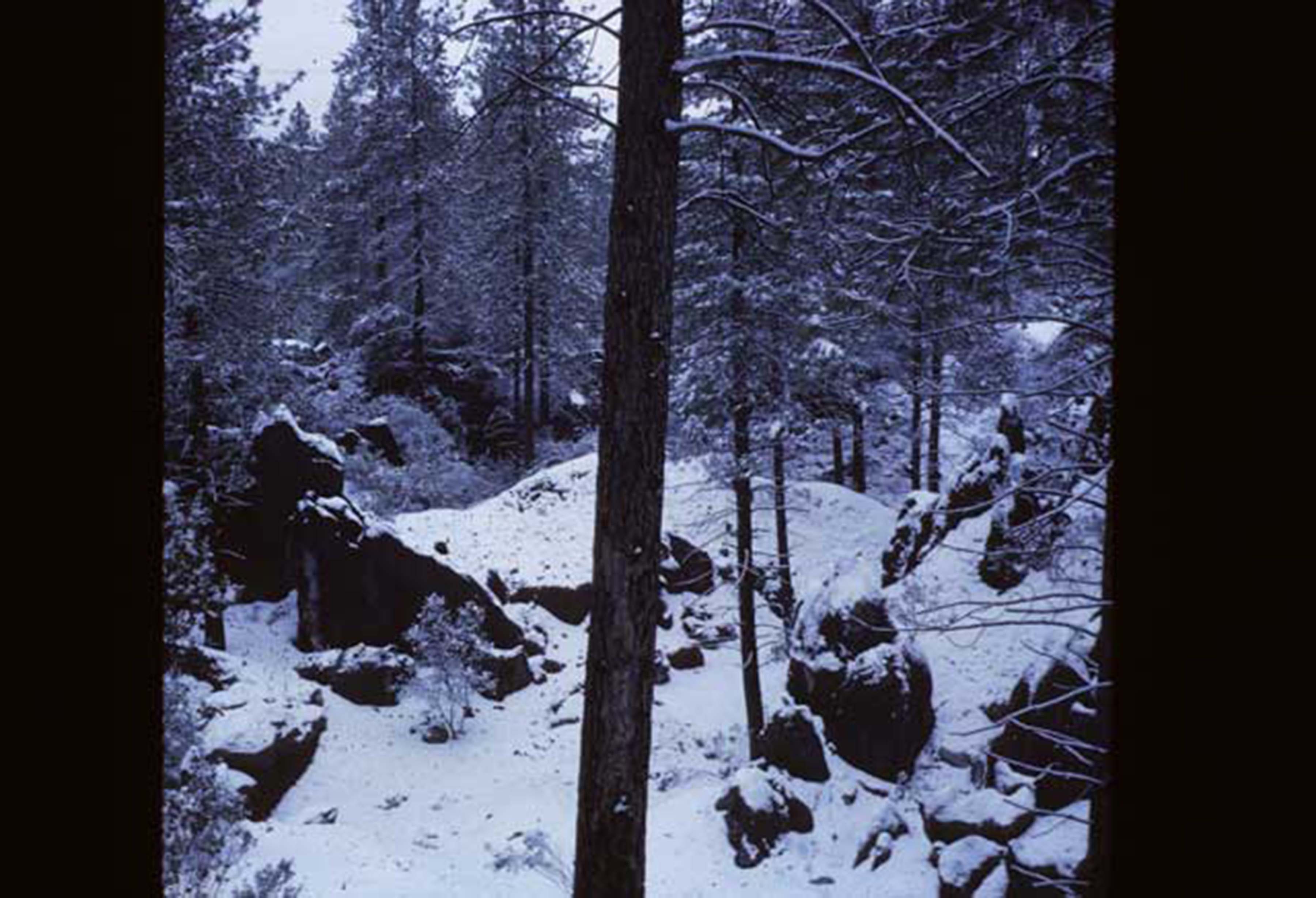 snowy area on campus