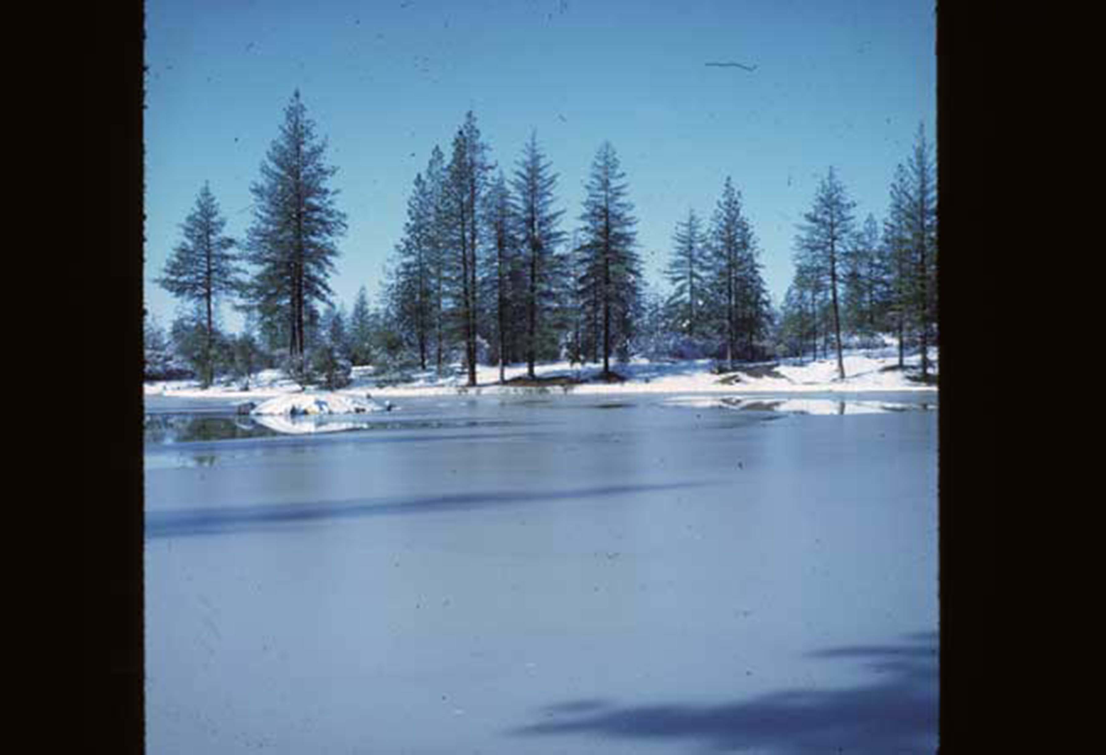 lake during winter