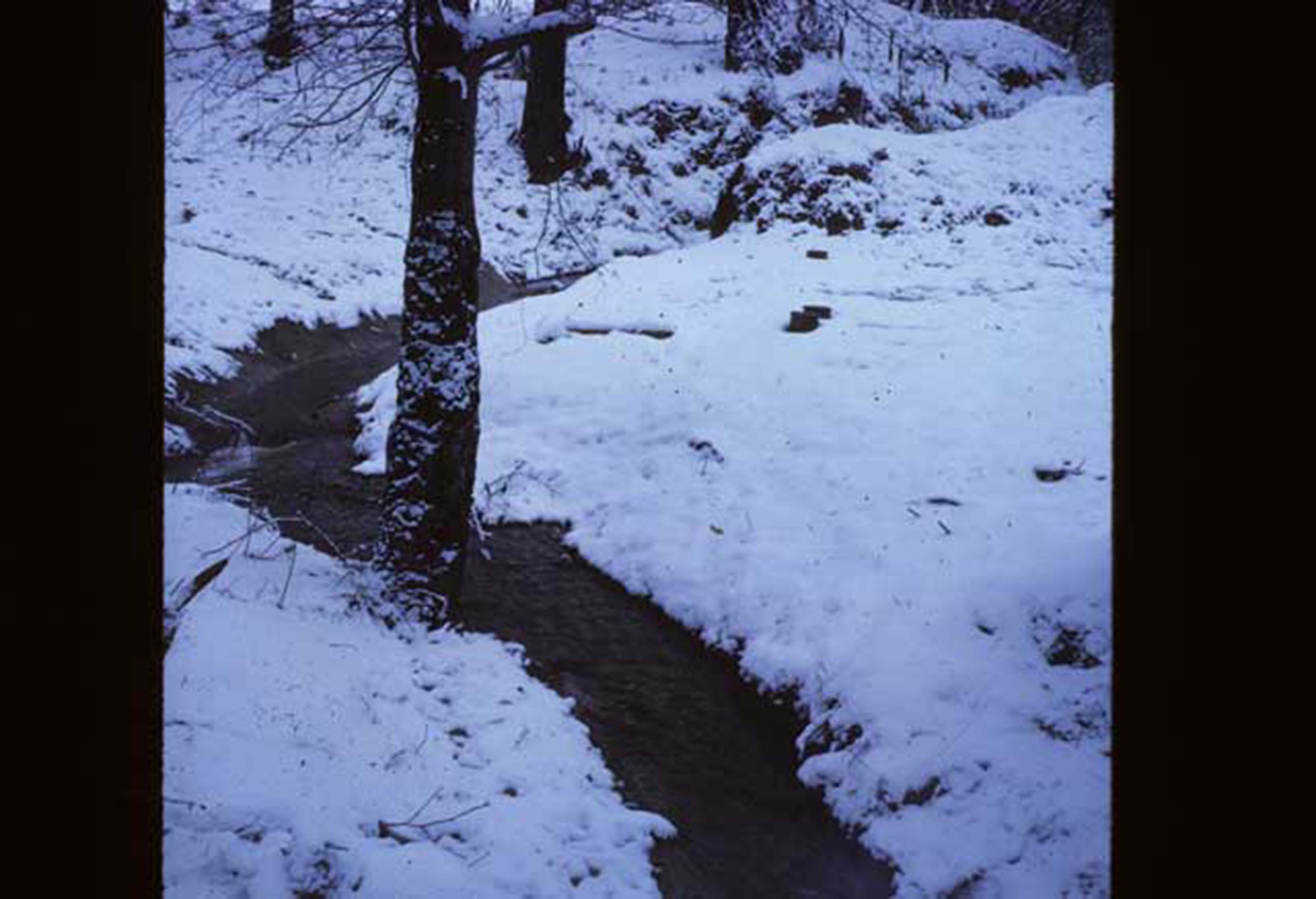 snowy ditch