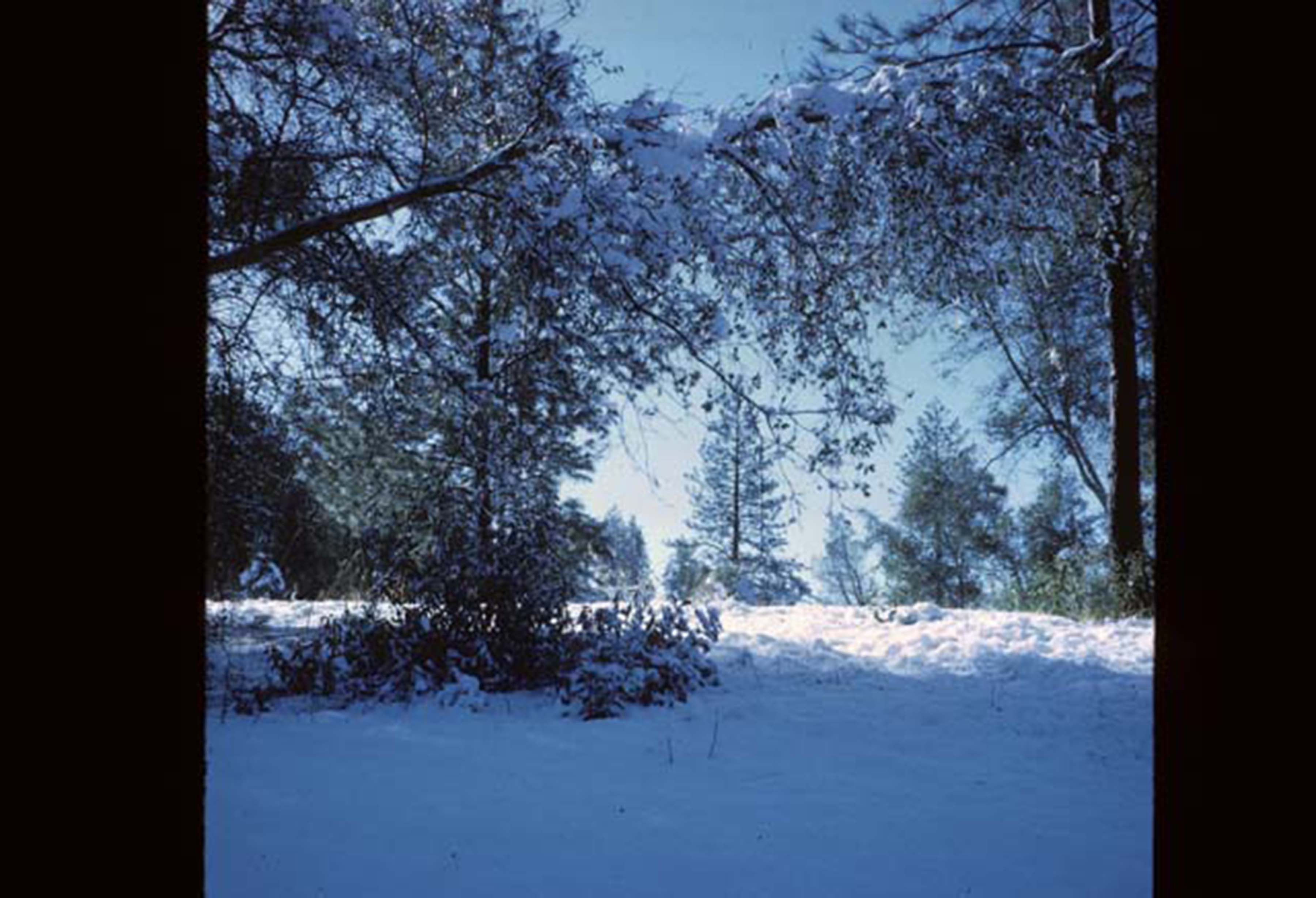 snowy area on campus