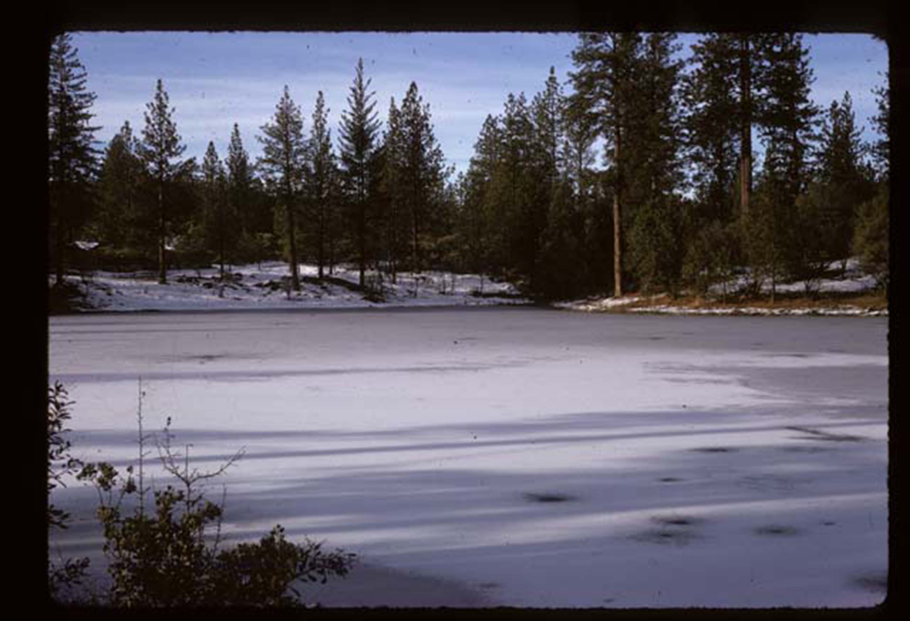 area where lake would be