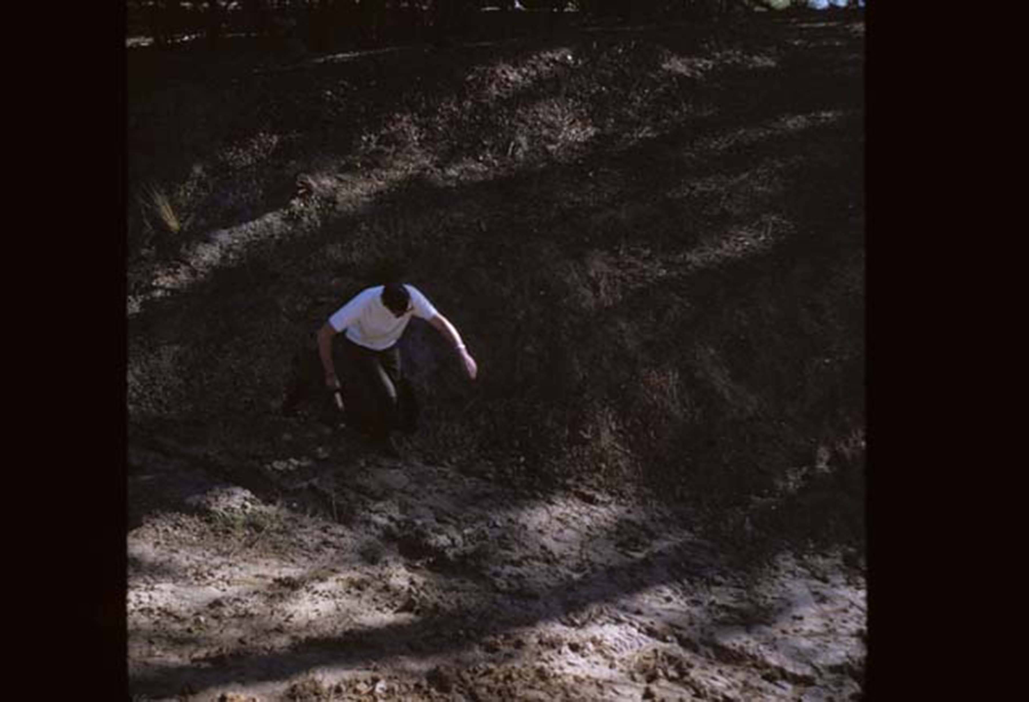 Erosion around campus