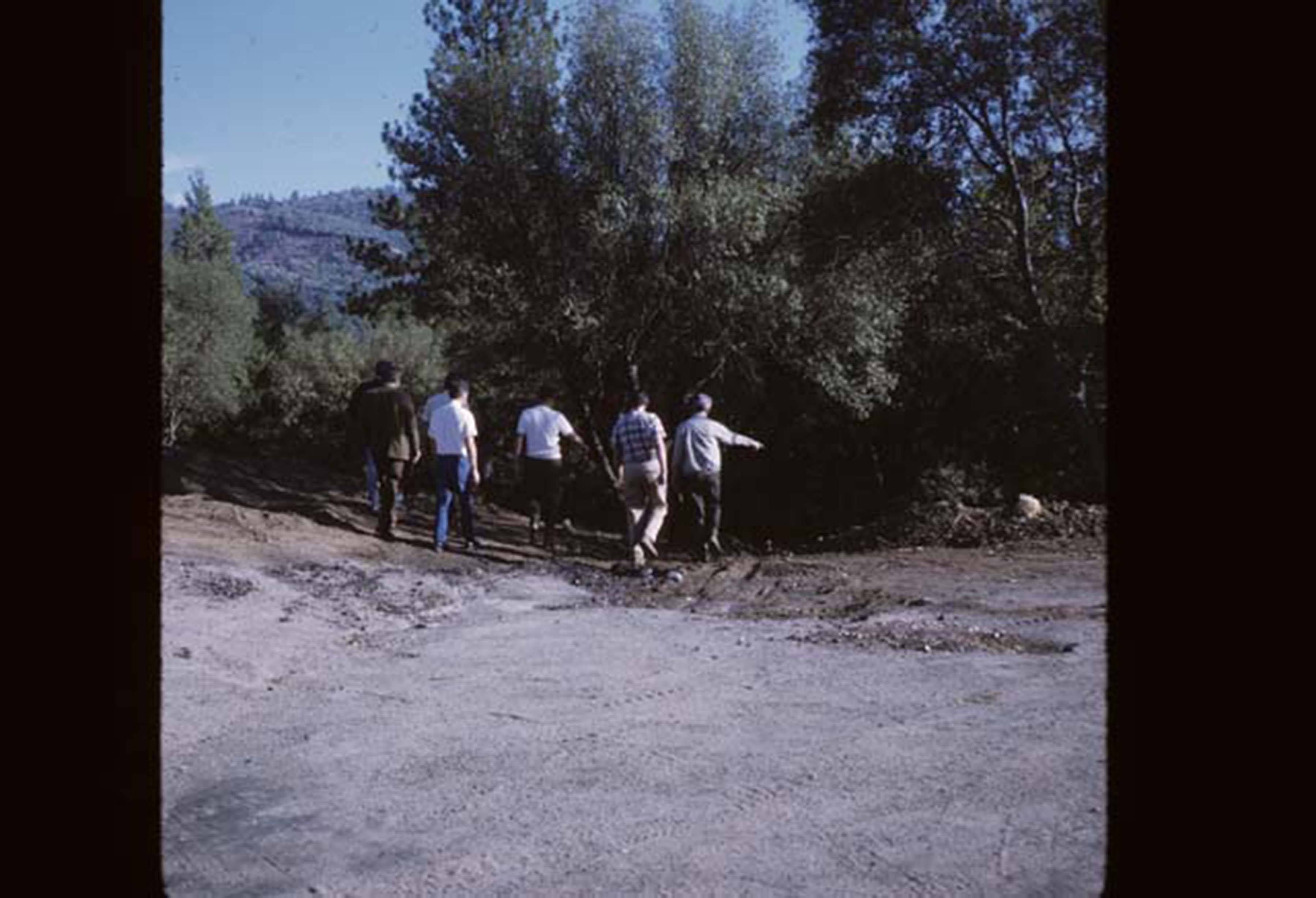 People scouting  campus grounds