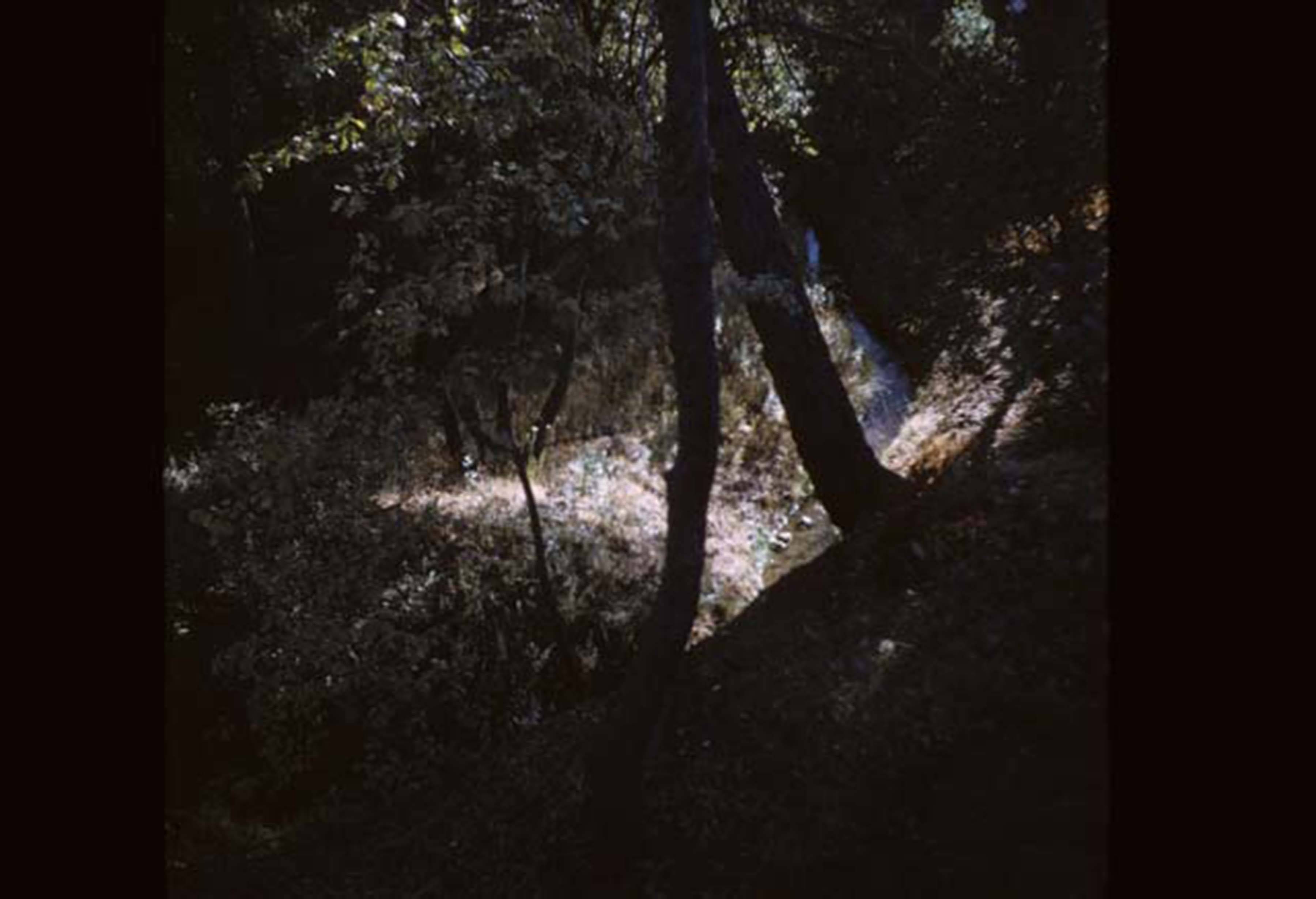 Erosion around campus