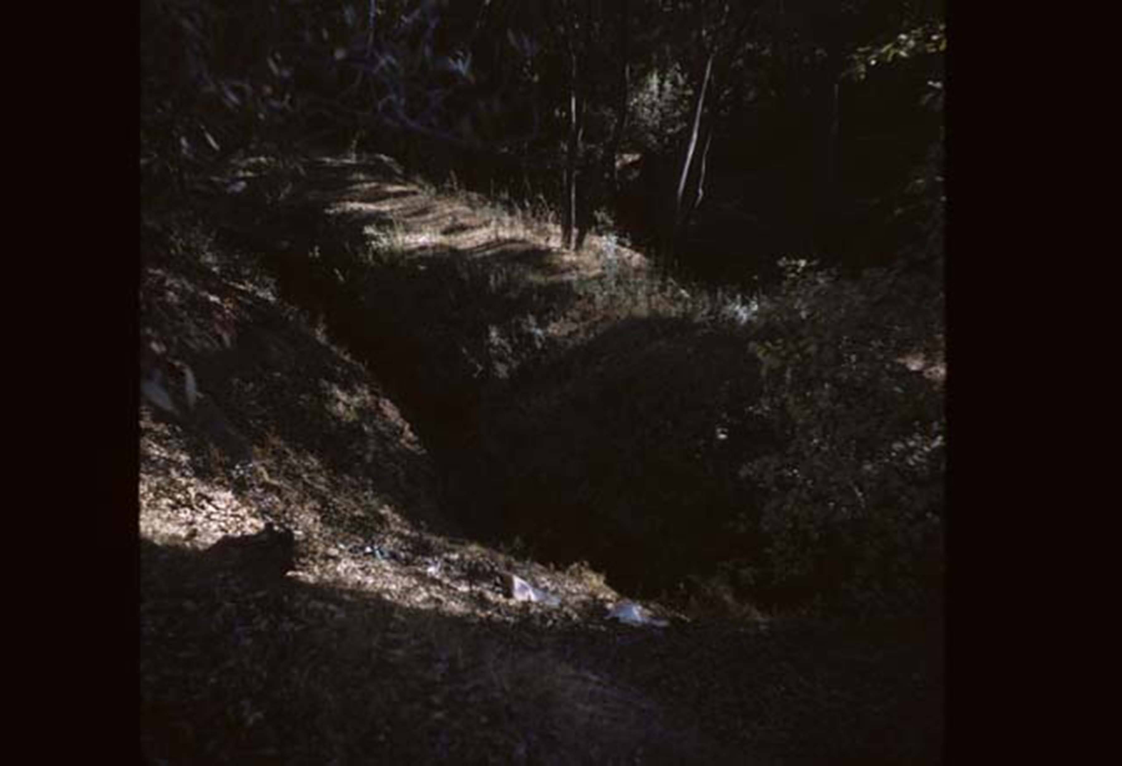 Erosion around campus