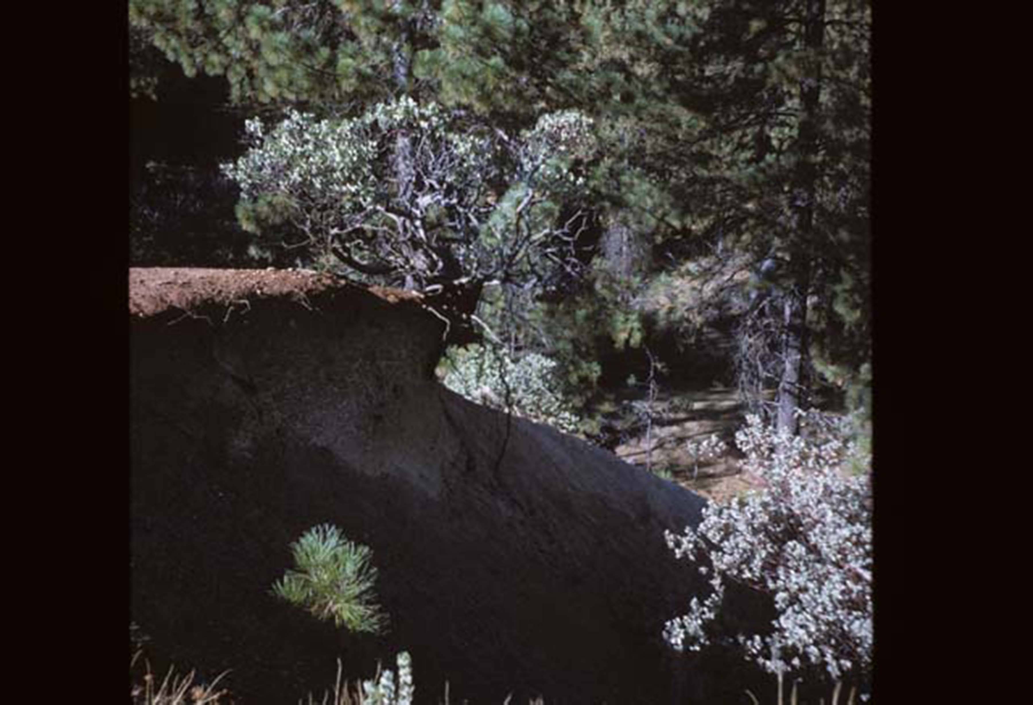 Erosion around campus