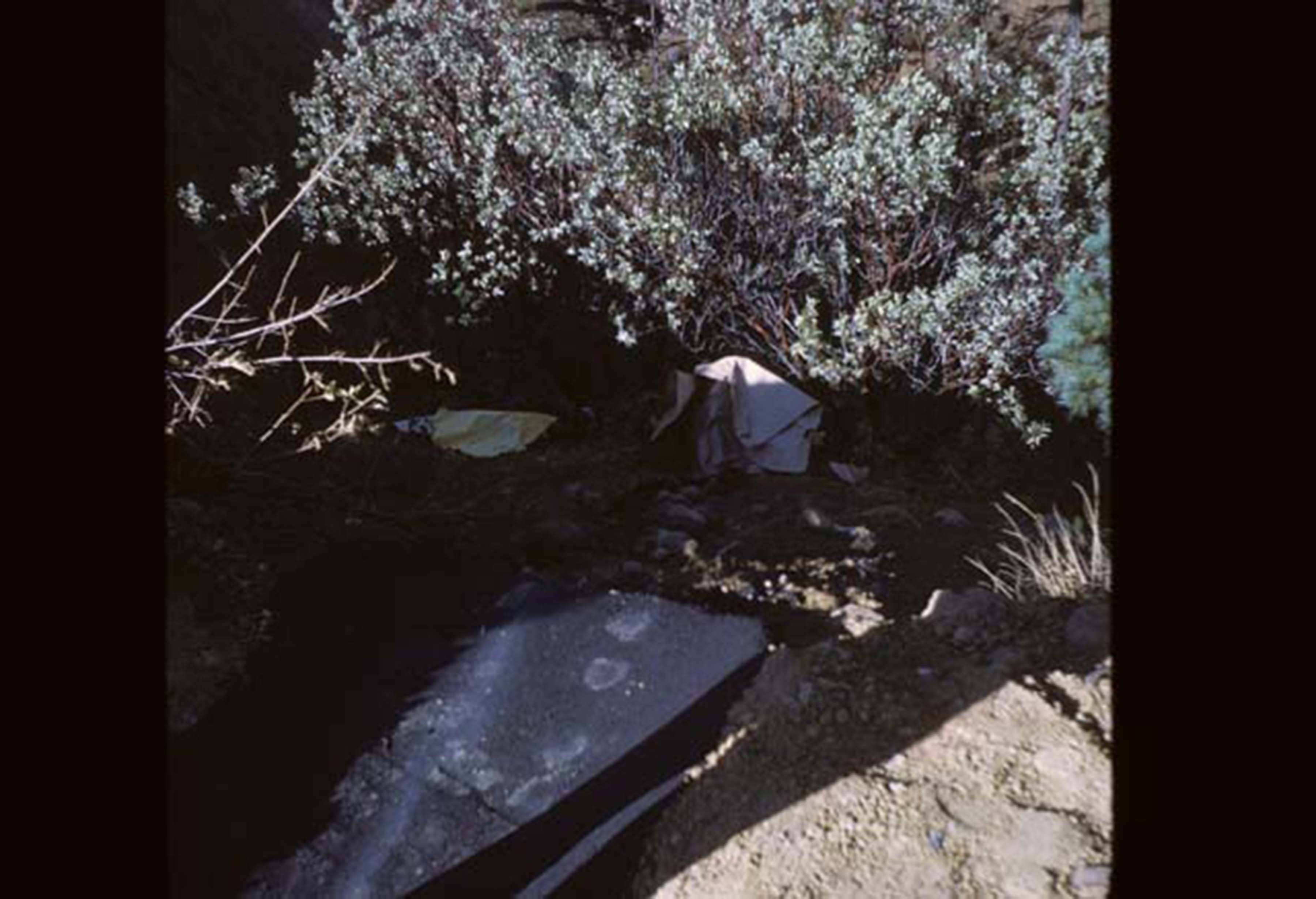 Erosion around campus