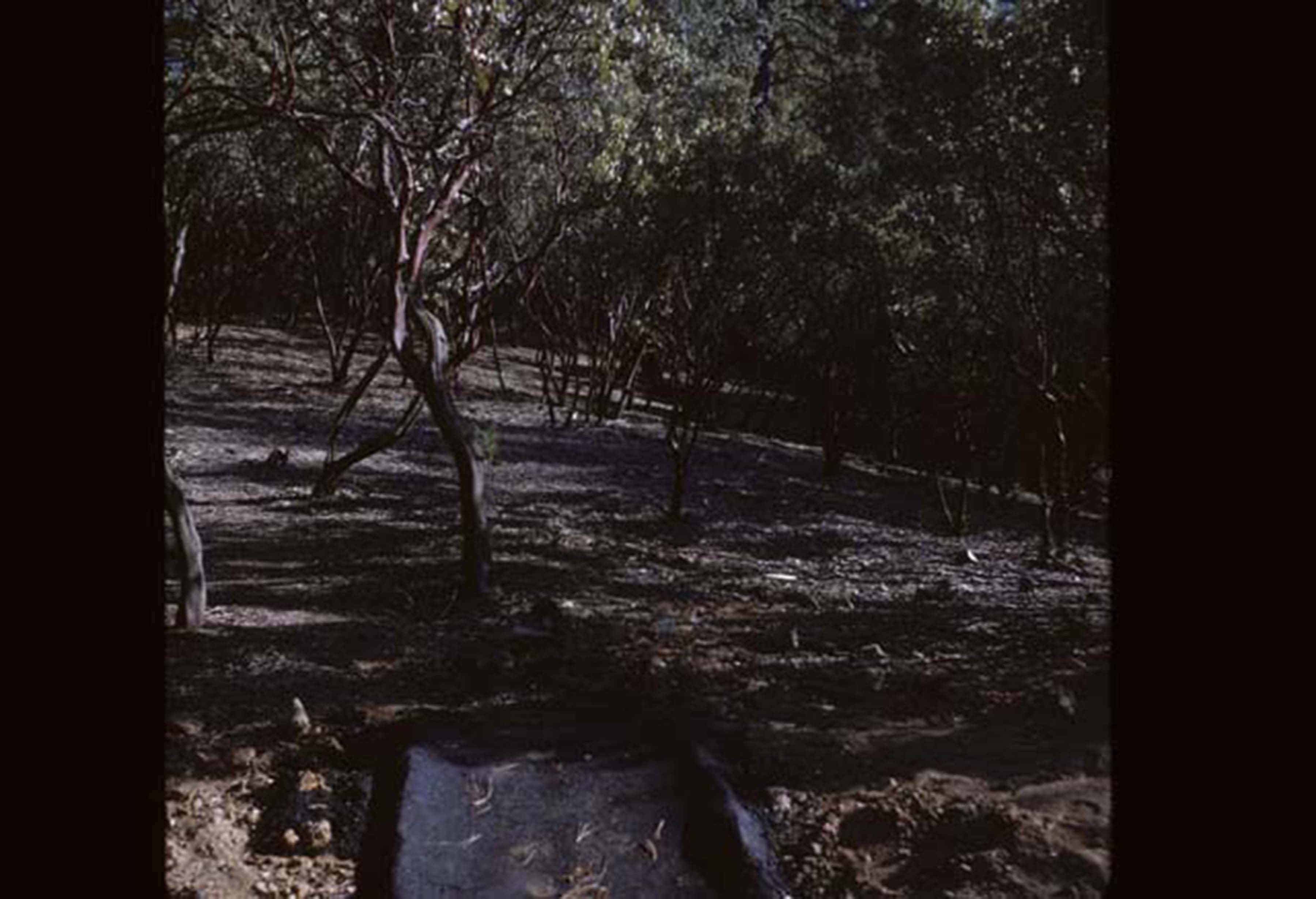 Erosion around campus