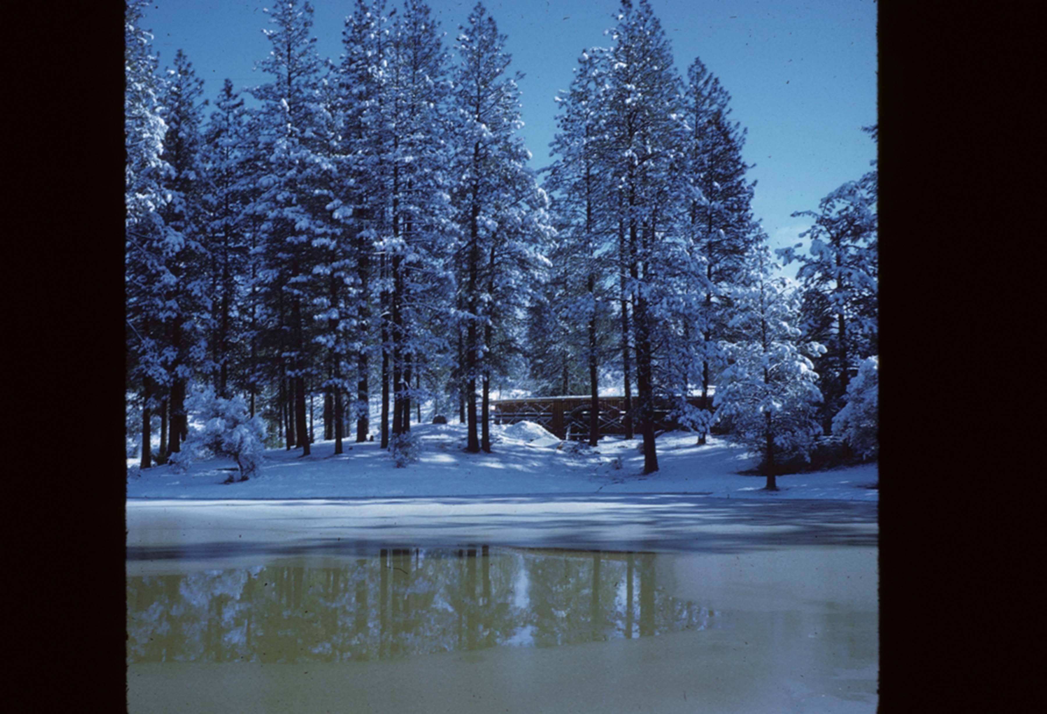 snowy lake with manzanita in background