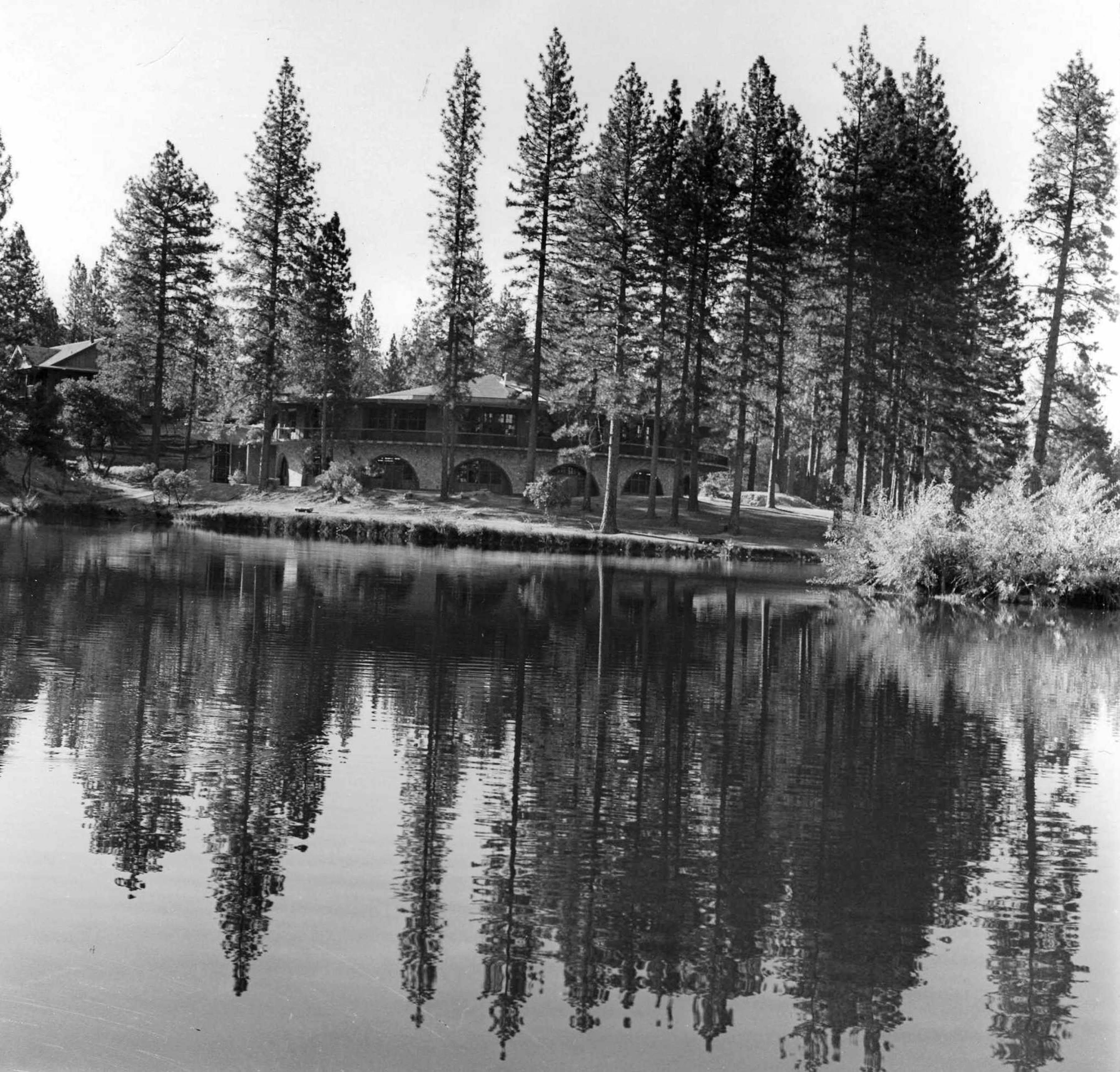 Black and White photo of manzanita from across the lake