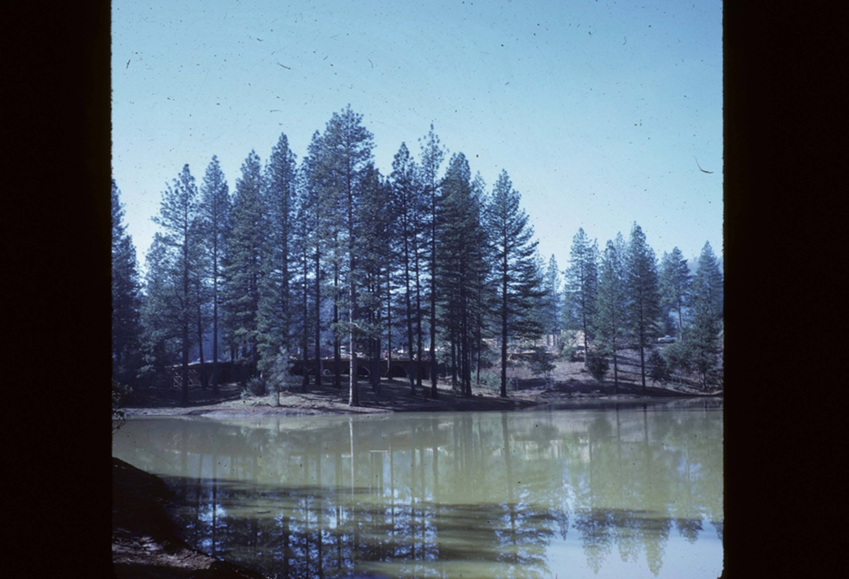 Lake with manzanita in background