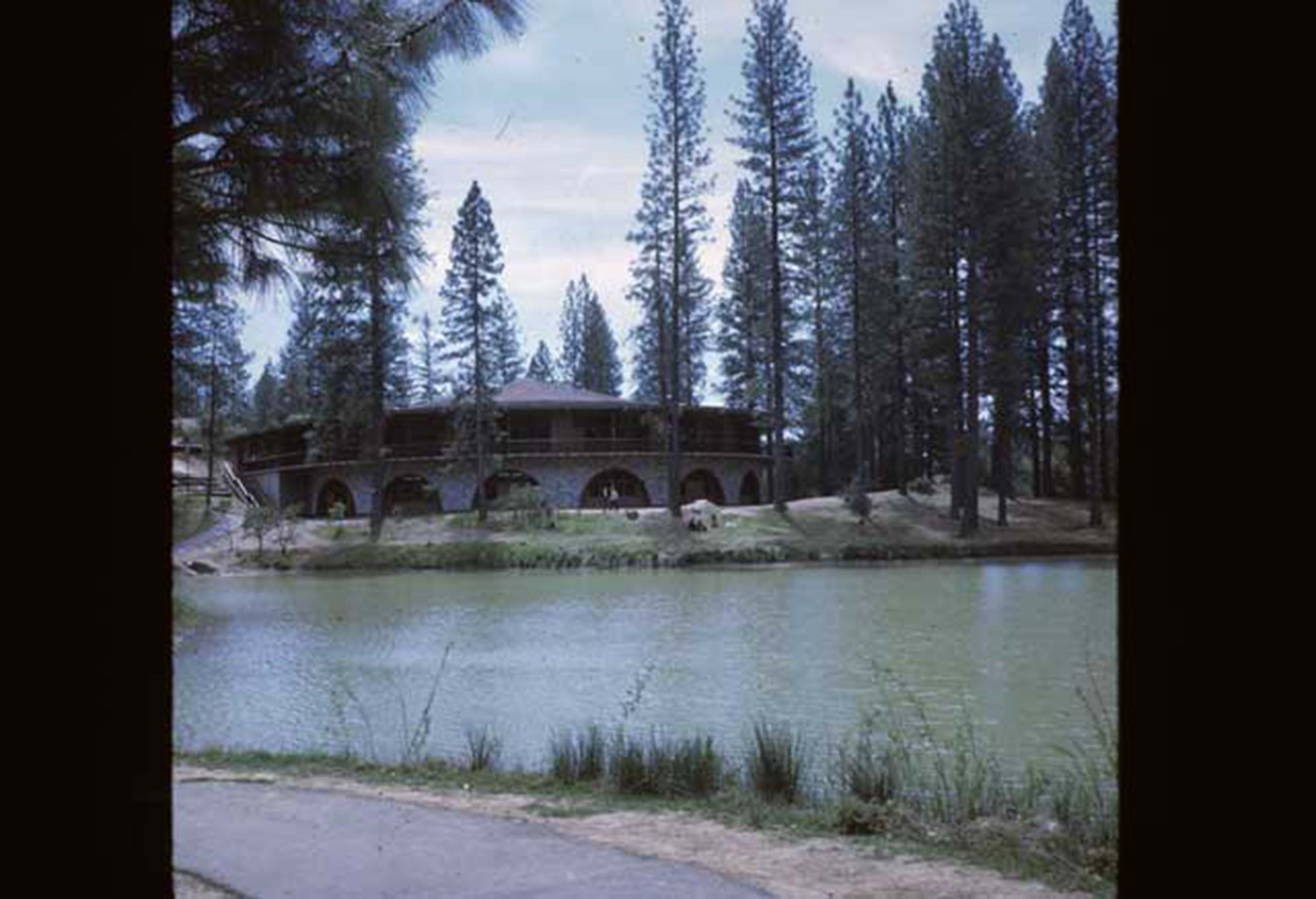 manzanita from across the lake