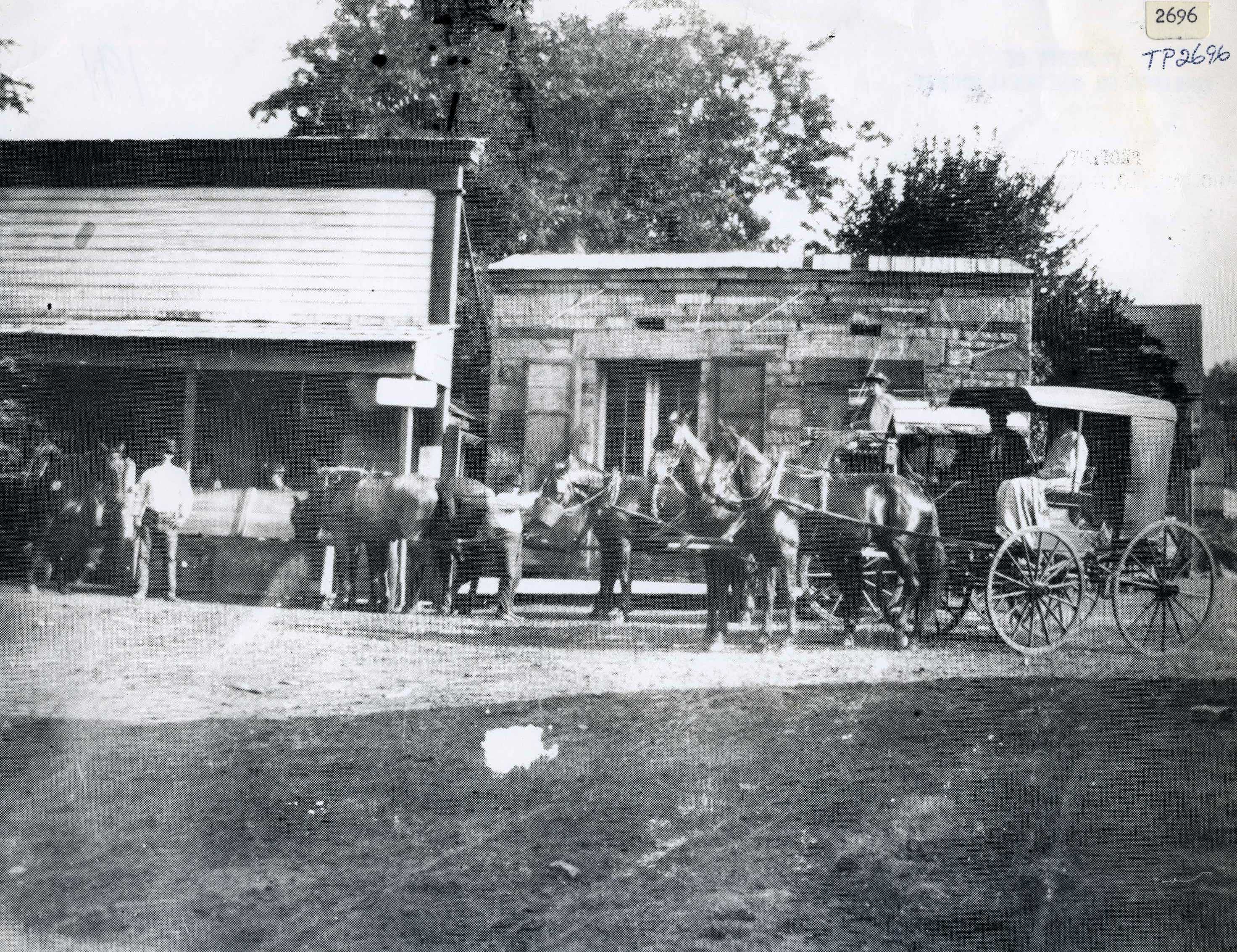Horse and Buggy in Black and White