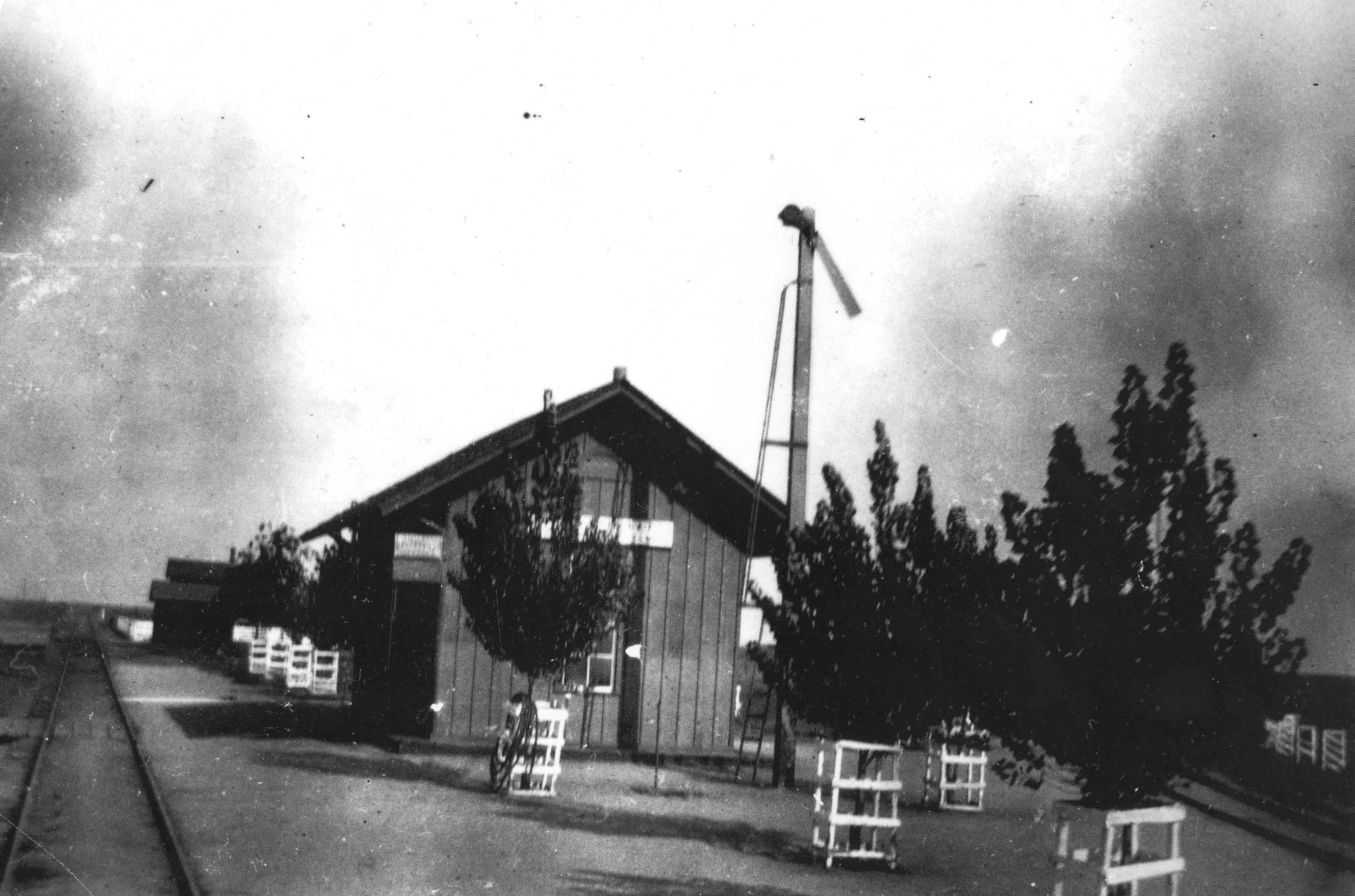 Trees in front of building