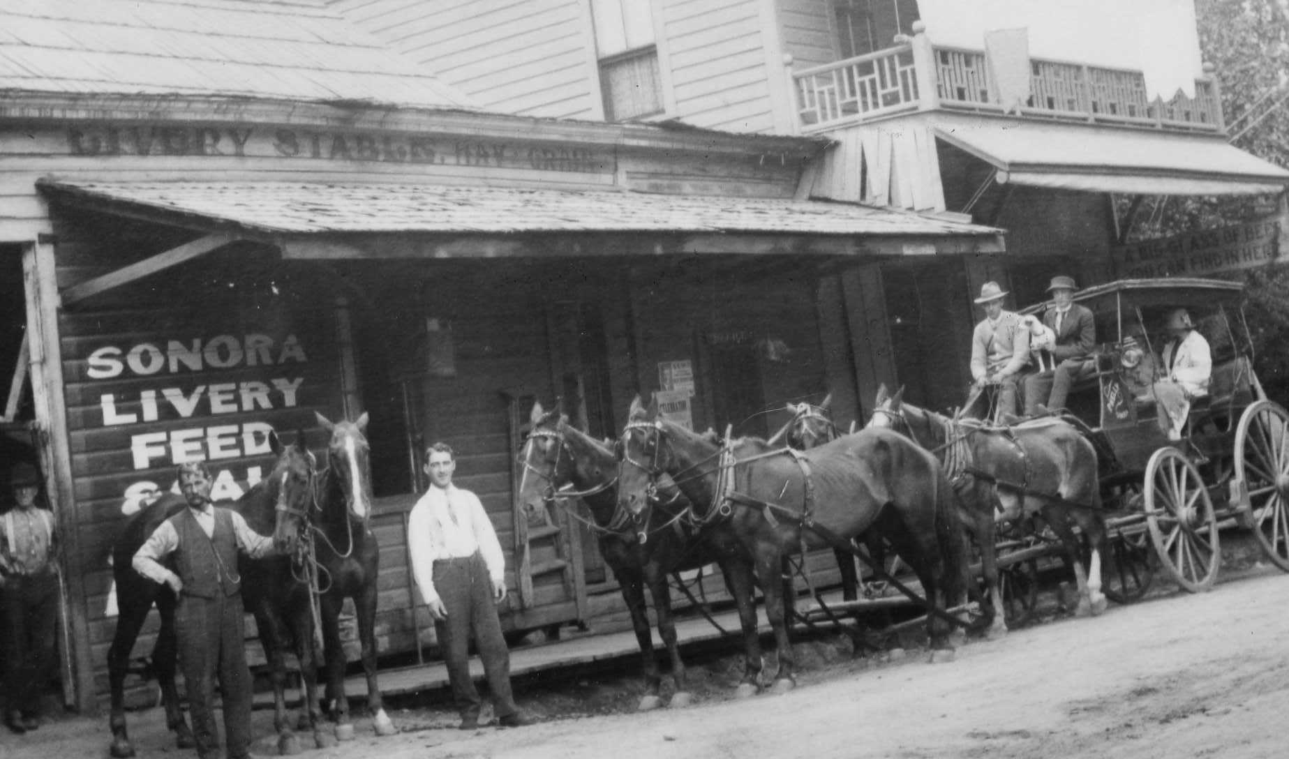 horses in front of Sonora Live Feed store