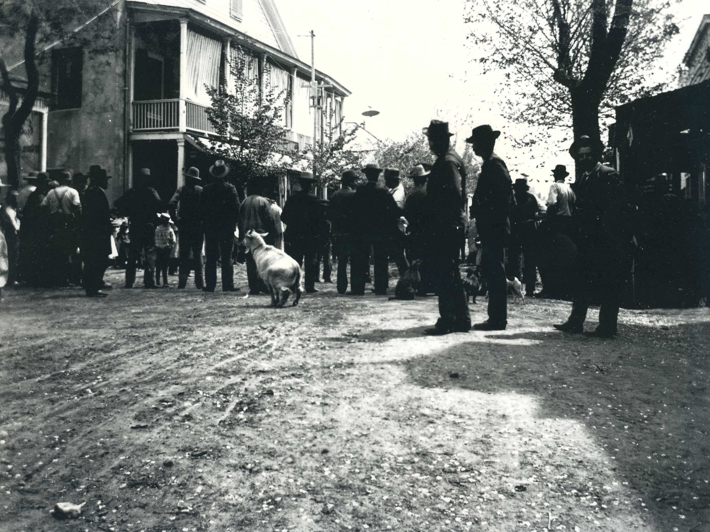 people on road watching marching band