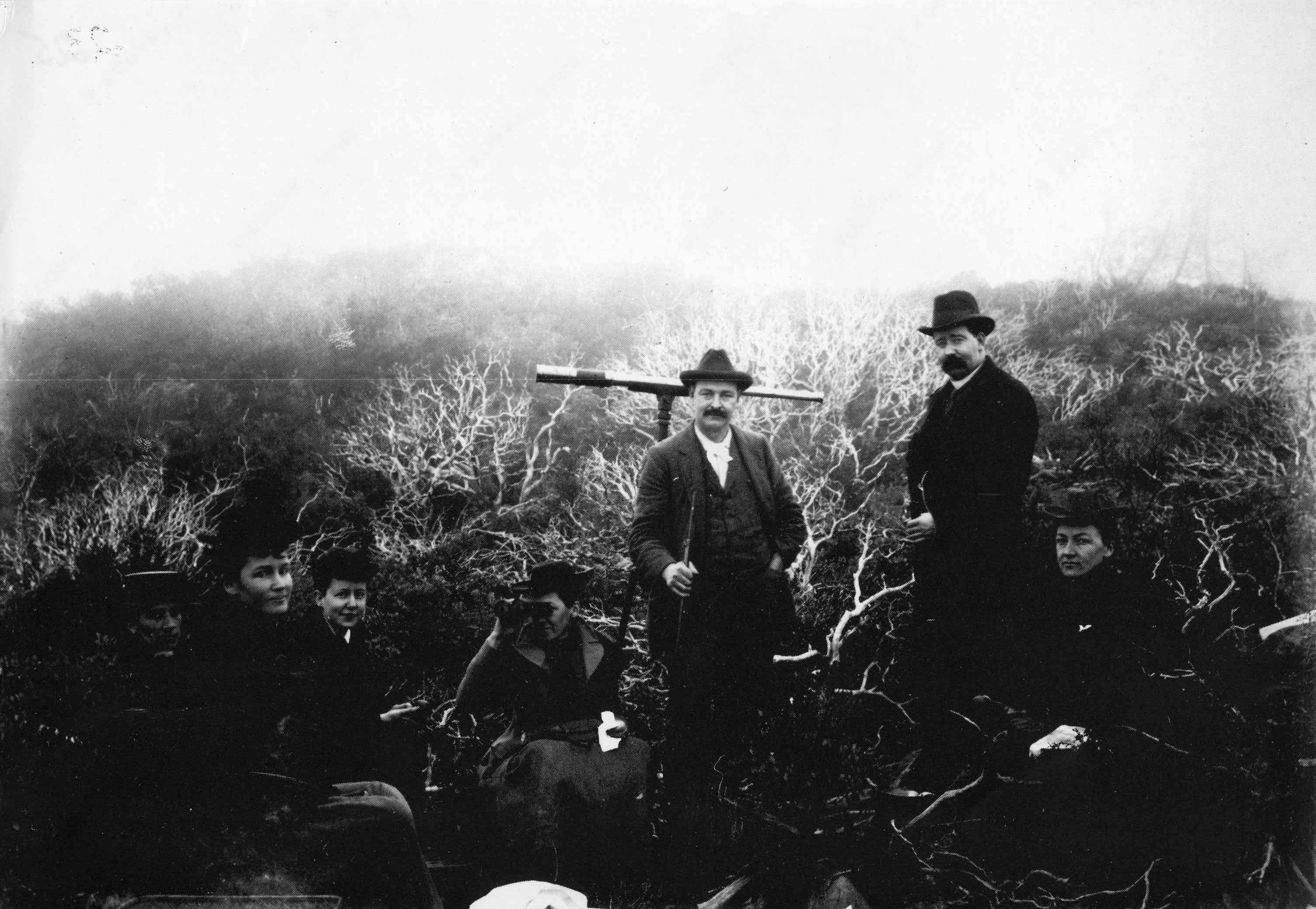 people in front of land