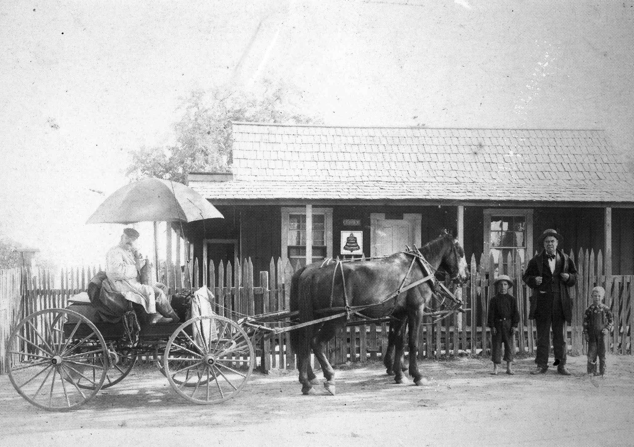 Tuolumne County Groups