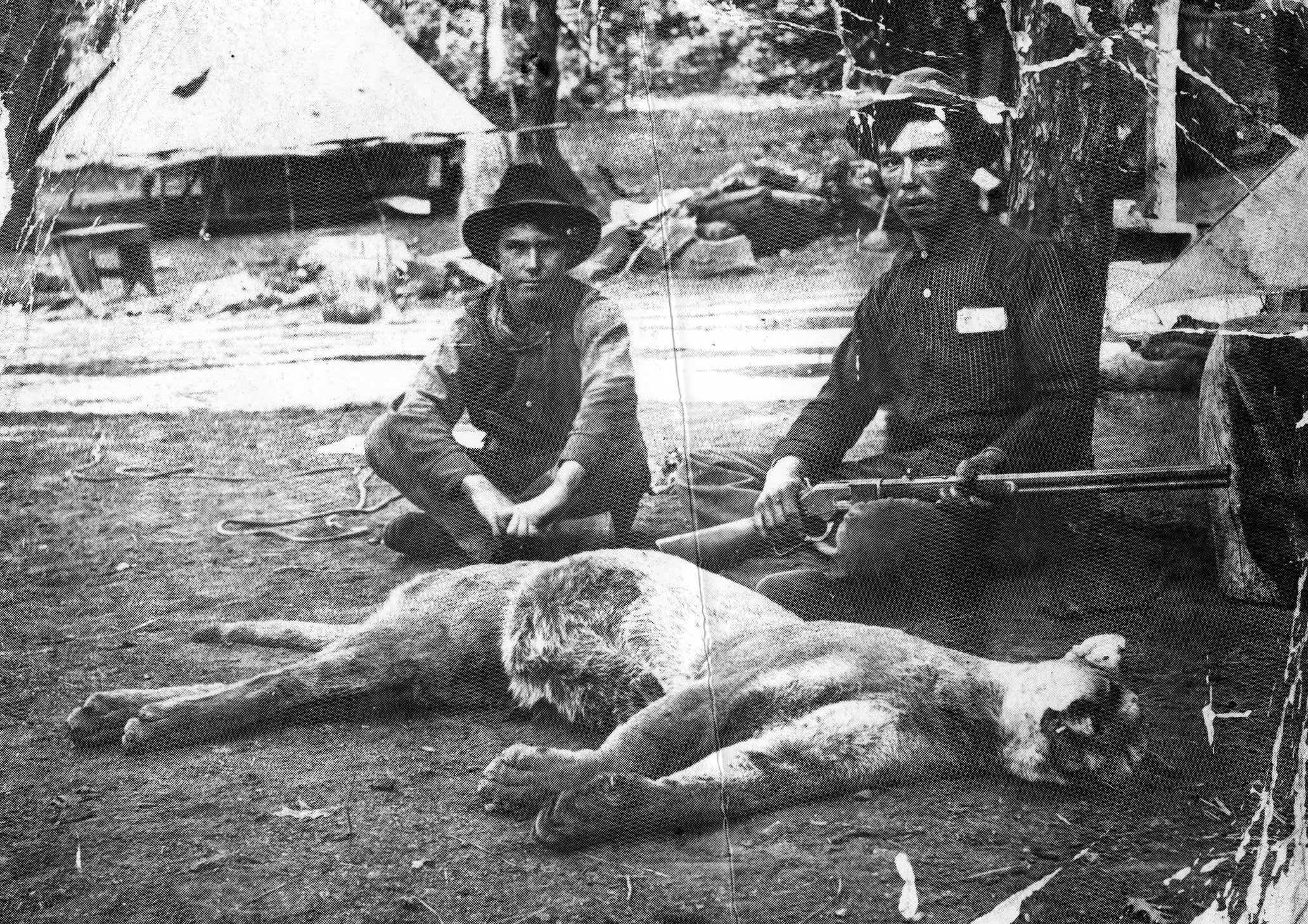 Tuolumne County Groups