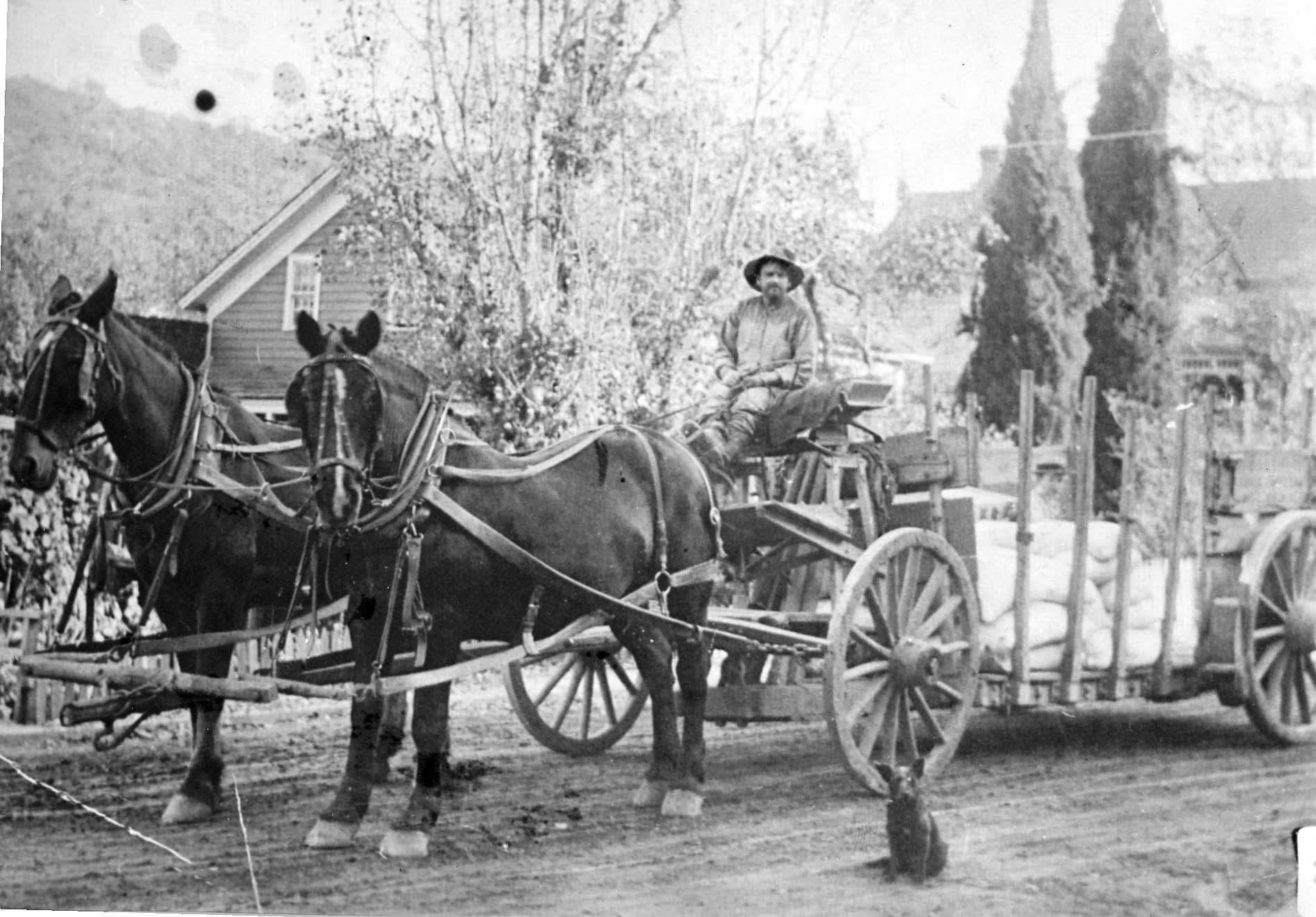 Tuolumne County Groups